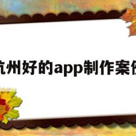 杭州好的app制作案例(杭州app制作开发一般是什么流程)