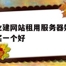 企业建网站租用服务器好还是买一个好的简单介绍