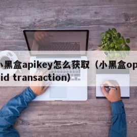 小黑盒apikey怎么获取（小黑盒openid transaction）