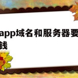 做app域名和服务器要多少钱(做app域名和服务器要多少钱一个)