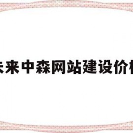 关于未来中森网站建设价格的信息