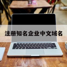 注册知名企业中文域名(企业注册中文域名有用吗)