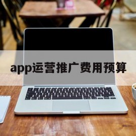 app运营推广费用预算(app运营推广费用预算表)