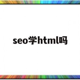 seo学html吗(学seo技术能赚钱么)