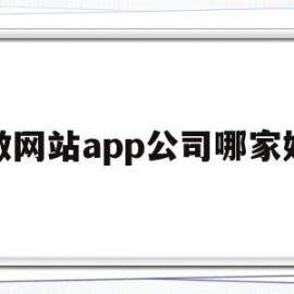 做网站app公司哪家好(网站app开发公司)