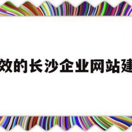 高效的长沙企业网站建设的简单介绍