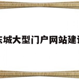 东城大型门户网站建设(东城大型门户网站建设项目)