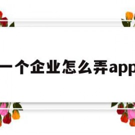 一个企业怎么弄app(成为企业app用户的方法)