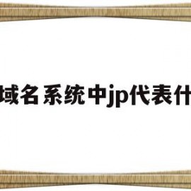 在域名系统中jp代表什么(域名,ip,地址是什么意思,举例)