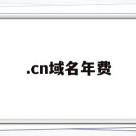 .cn域名年费(com域名费用每年多少钱)