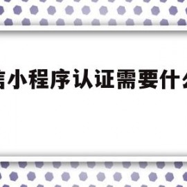 微信小程序认证需要什么材料(微信小程序认证后接下来做什么)