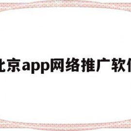 北京app网络推广软件(北京app网络推广软件哪个好)