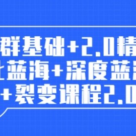 店群教程：店群基础+2.0精细化蓝海+深度蓝海+裂变课程2.0