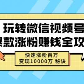 玩转微信视频号爆款涨粉赚钱全攻略，快速涨粉百万 变现10000万