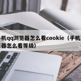 手机qq浏览器怎么看cookie（手机浏览器怎么看等级）