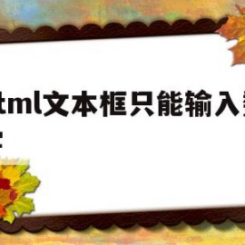 html文本框只能输入数字(html在文本框输入可执行代码)