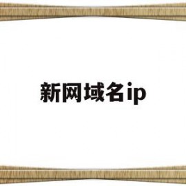 新网域名ip(新网域名管理平台)