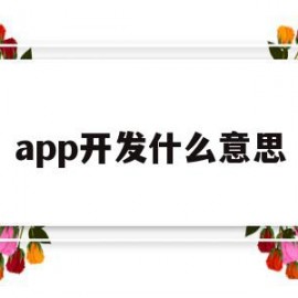 app开发什么意思(app开发完成后开发人员干什么)