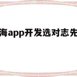 上海app开发选对志先科技(上海小程序开发咨询志先科技)