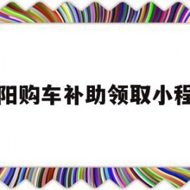 包含洛阳购车补助领取小程序的词条