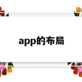 app的布局(app布局分析软件)