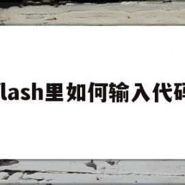 flash里如何输入代码(flash代码片段怎么打开)