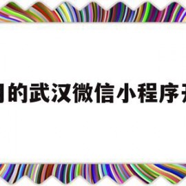 常用的武汉微信小程序开发(武汉微信小程序开发公司哪家好?)