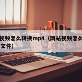 网站视频怎么转换mp4（网站视频怎么转换mp4文件）