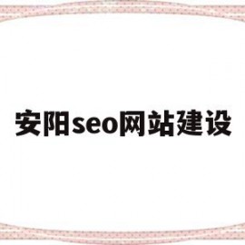 安阳seo网站建设(wordpress外贸网站建设和seo)