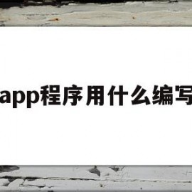 app程序用什么编写(app程序用什么编写的)