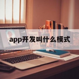 app开发叫什么模式(app开发主要用什么语言)