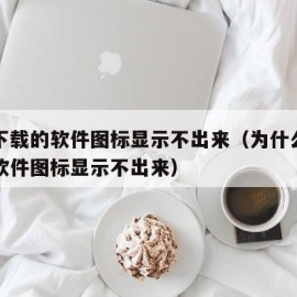 电脑下载的软件图标显示不出来（为什么电脑下载软件图标显示不出来）