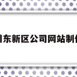 浦东新区公司网站制作(浦东新区企业中心一网通办)