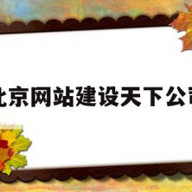 北京网站建设天下公司(北京网站建设天下公司招聘)