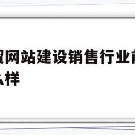 外贸网站建设销售行业前景怎么样(外贸网站建设销售行业前景怎么样啊)