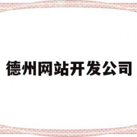 德州网站开发公司(德州网站建设公司哪家好)