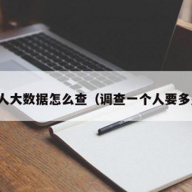 查个人大数据怎么查（调查一个人要多少钱）