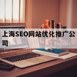 包含上海SEO网站优化推广公司的词条