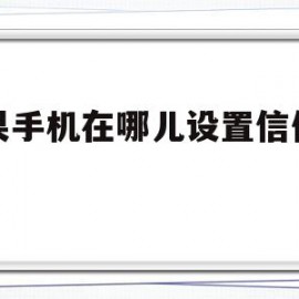 苹果手机在哪儿设置信任功能(苹果手机在哪儿设置信任功能软件)