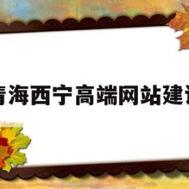 青海西宁高端网站建设(青海西宁网络科技有限公司)