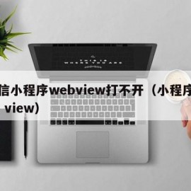 微信小程序webview打不开（小程序web view）