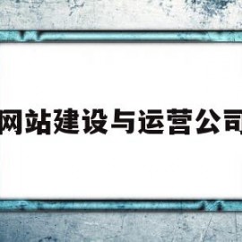 网站建设与运营公司(网站建设与运营公司收入预算)