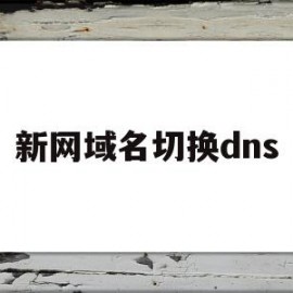 新网域名切换dns(域名换dns多久生效)