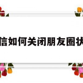 微信如何关闭朋友圈状态(微信如何关闭朋友圈状态显示)