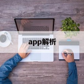 app解析(十六番旅行app解析)