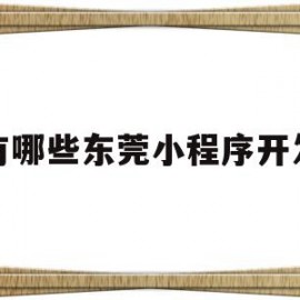 有哪些东莞小程序开发(东莞市小程序电子商务有限公司)