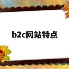 b2c网站特点(b2c网站有什么)