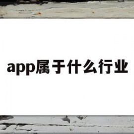 app属于什么行业(app是什么公司的)