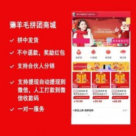 薅羊毛拼团商城小程序v2.8.6+前端