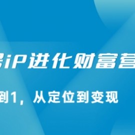 视频号iP进化财富营，从0到1，从定位到变现赚钱